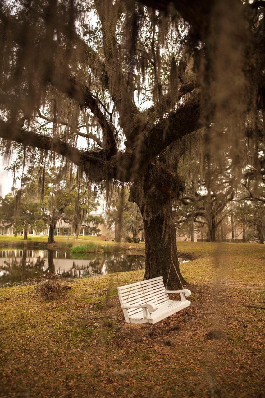 Greenwood Plantation B&B Inn Saint Francisville Exterior photo